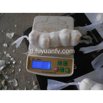 4.5-5.0cm Bawang putih putih murni